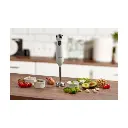 Handheld 600w 4.webp