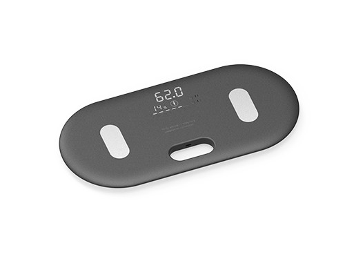 WeightScale BodyFat - Grey 